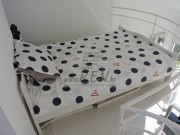 Wohnung - Novigrad (03260)