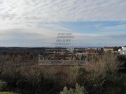 Bauland - Novigrad (03893)