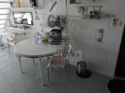 Wohnung - Novigrad (03260)