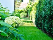 Haus - Novigrad (03688)