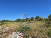 Bauland  - Buje (05738)