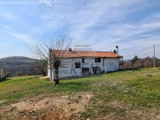 Haus - Buje (04893)