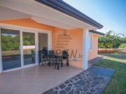 Haus - Umag (03277)