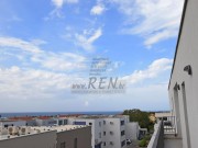 Wohnung  - Novigrad (05059)