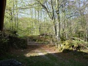 Bauland  - Mrkopalj (00709)