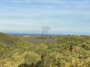 Bauland - Buje (05417)