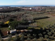 Haus - Novigrad (05749)