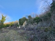Istrien Haus - Buzet (05203)