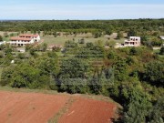 Bauland - Novigrad (04176)