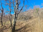 Istrien Haus - Buje (04429)