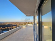 Villa - Buje (04857)