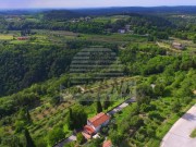 Istrien Haus - Buje (04490)