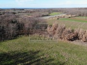 Bauland  - Brtonigla (04789)