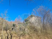 Istrien Haus - Buje (04429)