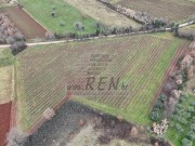 Landwirtschaftliche - Brtonigla (05681)