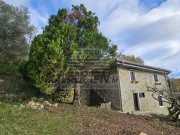 Istrien Haus - Grožnjan (05621)