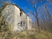 Istrien Haus - Buje (04429)