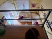 Wohnung - Medulin (05723)