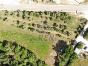 Bauland - Buje (05552)