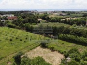 Bauland  - Novigrad (04966)