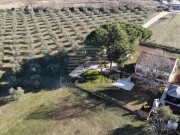 Haus - Novigrad (05749)