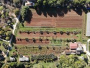 Bauland - Umag (03837)