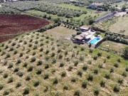 Haus - Novigrad (04964)