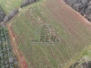 Landwirtschaftliche - Brtonigla (05682)