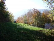 Bauland - Mrkopalj (00706)