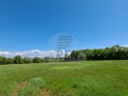 Bauland - Novigrad (04283)