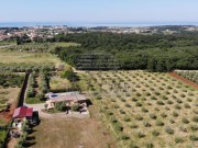 Haus - Novigrad (04964)