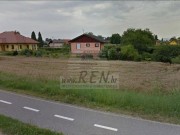 Haus - Ptuj (02025)