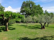 Istrien Haus - Novigrad (05613)