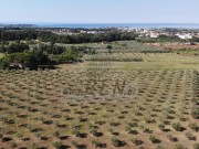 Landwirtschaftliche - Novigrad (05060)