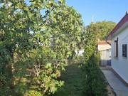 Haus - Novigrad (05760)