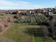 Bauland - Brtonigla (04789)