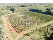 Landwirtschaftliche - Brtonigla (05682)