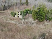 Istrien Haus - Buje (05232)