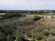 Bauland - Brtonigla (03948)