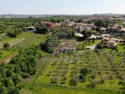 Haus  - Brtonigla (04934)