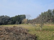 Bauland  - Umag (05485)