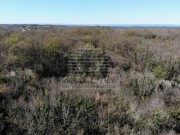 Landwirtschaftliche  - Umag (04928)