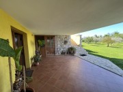 Haus - Brtonigla (04934)