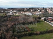 Bauland  - Novigrad (03893)