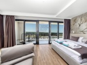 Villa - Buje (04856)