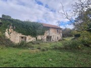 Istrien Haus - Buje (05229)