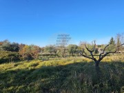Bauland - Buje (05633)
