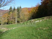 Bauland - Mrkopalj (00708)