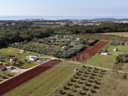 Landwirtschaftliche  - Novigrad (03804)
