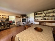 Haus - Brtonigla (04934)